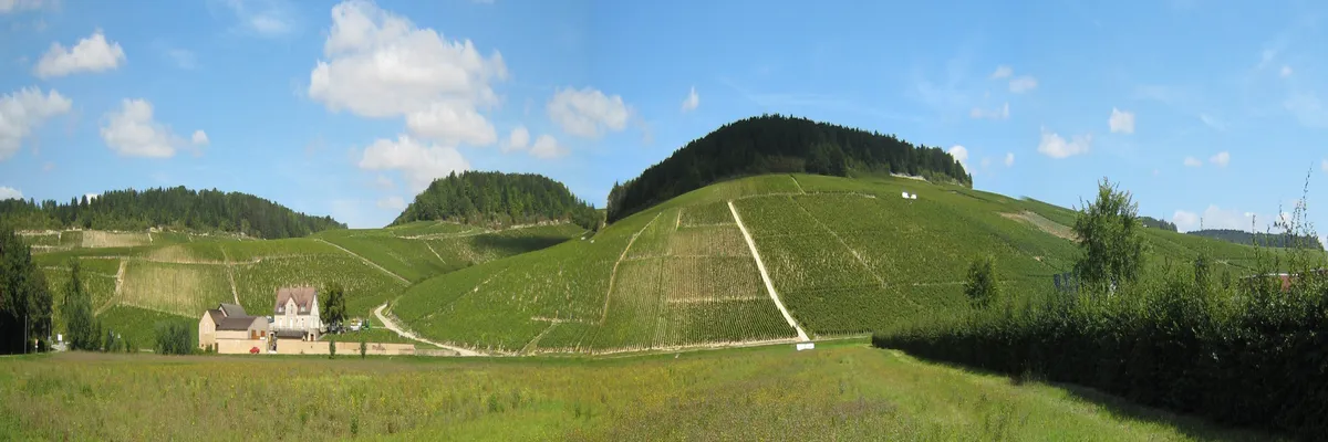 Image Constructeur terrain padel Bourgogne-Franche-Comté
