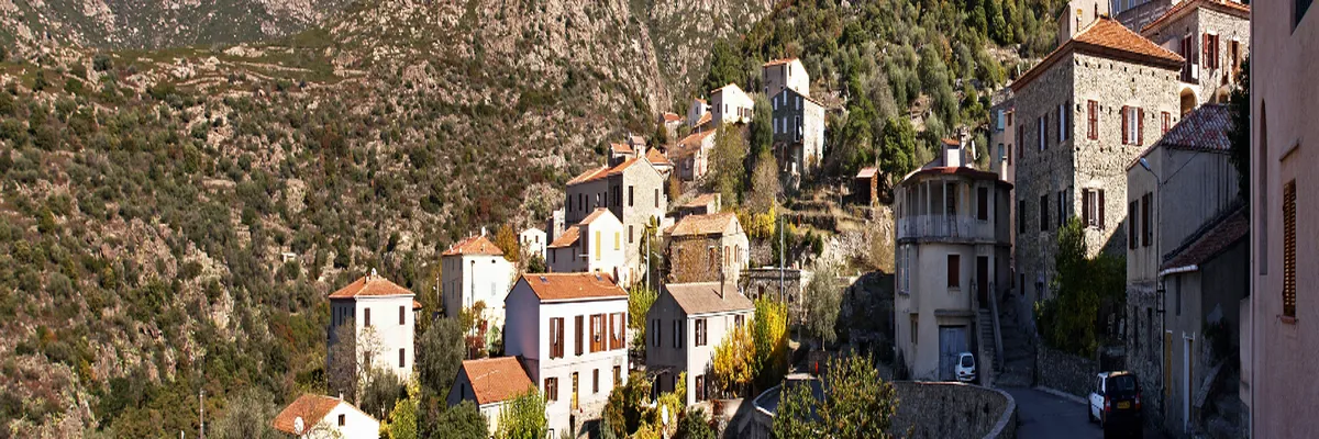 Image Constructeur terrain padel Haute-Corse