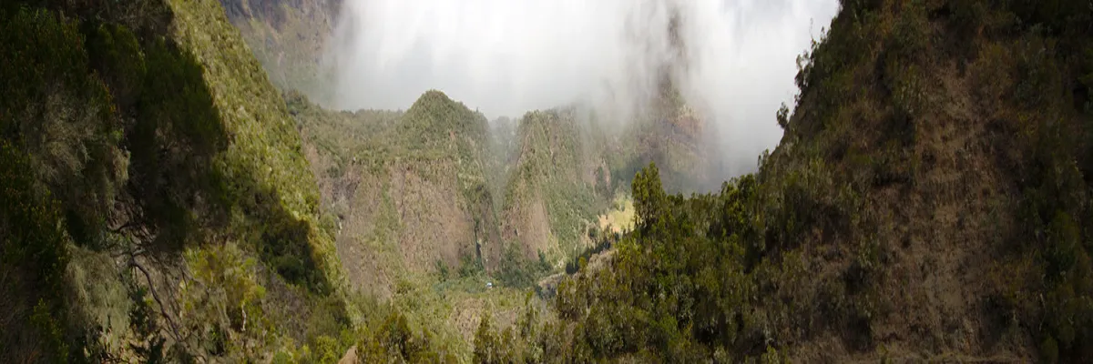 Image Constructeur terrain padel La Réunion