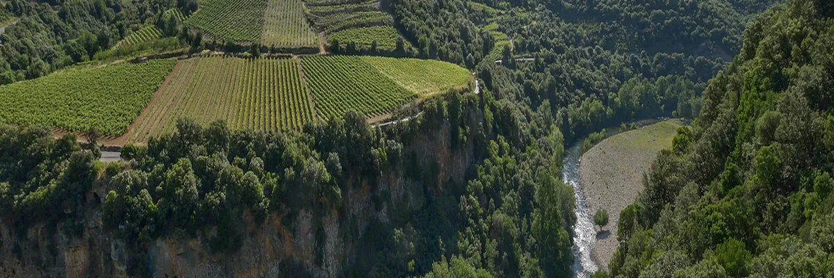 Image Constructeur terrain padel Occitanie