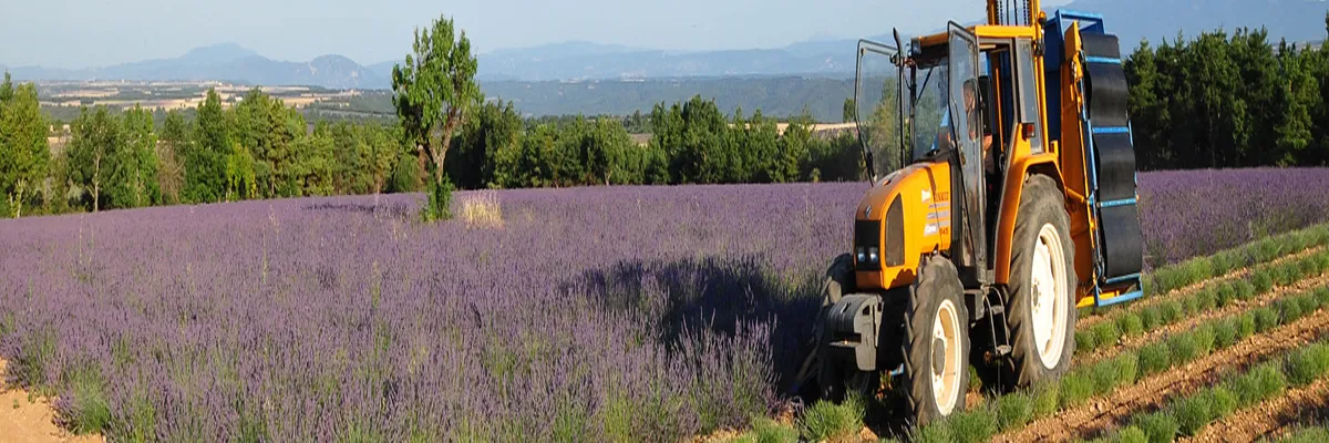 Image Constructeur terrain padel Provence-Alpes-Côte d'Azur