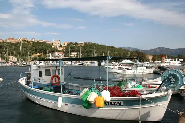 Fabricant Padel Constructeur terrain padel Porto-Vecchio