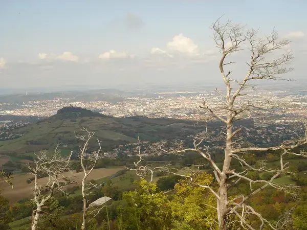 Fabricant Padel Constructeur terrain padel Romagnat