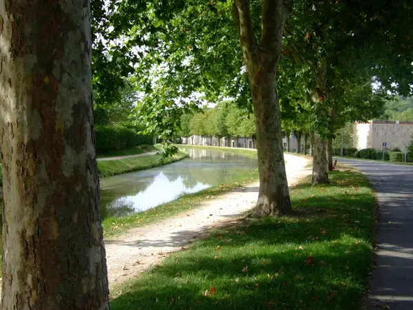 Fabricant Padel Constructeur terrain padel Saint-Amand-Montrond